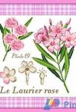 Passion Bonheur - Le Laurier rose