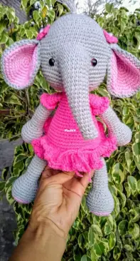 Zoe elephant