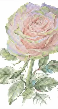 Rose Charm by Ekaterina Volkova