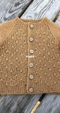 Meadow Cardigan Search PinDIY Free Download Patterns