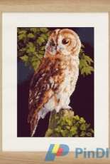 Lanarte PN-0146814 Owl
