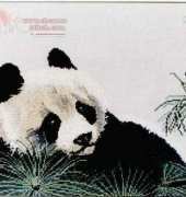 Couchman Creations CC021 Panda