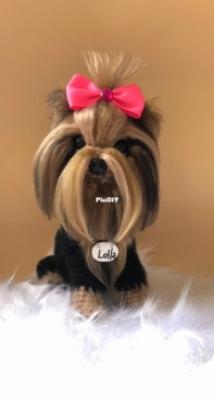 Crochet Eve - Evelise Furiatti - Pets em Amigurumi  Yorkshire - Portuguese