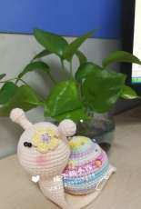 Cute little snail
