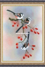 Dina Cross Stitch - Birds 6 - Free