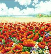 DOME-91101 Poppy Field pcs