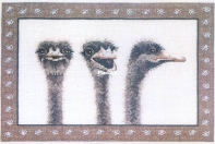 Three (Wise) Ostriches - O. Oehlenschlagers Eftf. OOE 99509 PCS