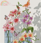 Orchids and Butterflies
