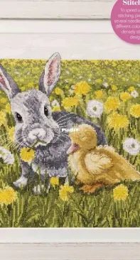 Rabbit and Duckling by Jenny Barton from Cross Stitch Gold 155 PCS + XSD