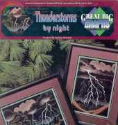 Leasure Arts 109921 - Thunderstorms by Night by Sydney McIntosh