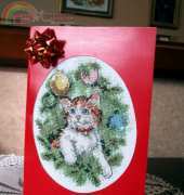 cat postcard