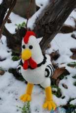 Chicken Katrin