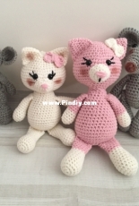 Cat and mouse family