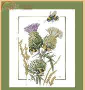 Lanarte PN-0021621 Thistle bees by Marjolein Bastin