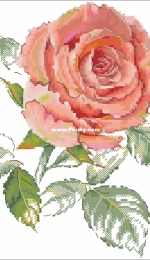 Rose Rapture by Ekaterina Volkova xsd