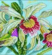 RTO M221 Magical Garden XSD