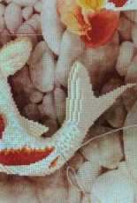 Koi Fish 3D