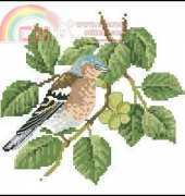 Heritage DMCF379 Chaffinch