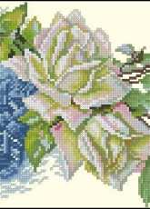 RTO M519 - White Rose Miniature XSD