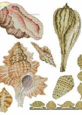 Le idee di Susanna -> Shells II