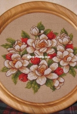 Magnolia