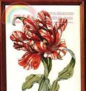 Striped Parrot Tulip from American School of Needlework ASN 3689 Beautiful Blossoms XSD