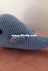 Whale