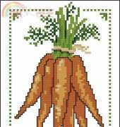 Vervaco 70.881 Carrots