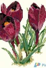 Janet Powers Book 30004 - Crocus