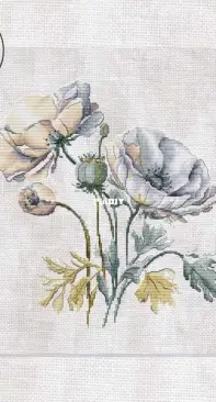 Delicate Poppies by Eva Stitch & Morra Marran