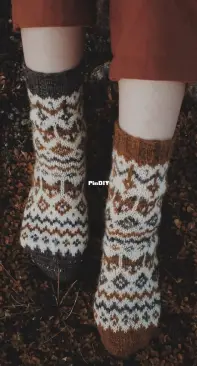 Foxtales socks by Weichien Chan - The Petite Knitter