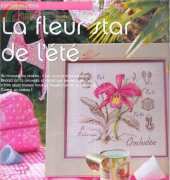 DFEA-HS 28-Etude Botanique FLOWER & SHADOW - ORCHIDEA / Orchidee