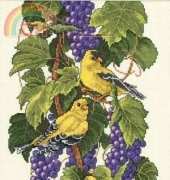 JCA 03248 - Heritage Collection - Vineyard Goldfinches - Elsa Williams in XSD