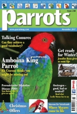 Parrots Issue 238- November 2017