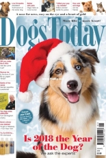 Dogs Today UK  January 2018