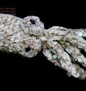 Angels Unawares - Kelly Lynn Smith - Bob the Hawaiian Bobtail Squid - Free