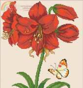 Alluring Amaryllis by Barbara Baatz from American School of Needlework ASN3712 Five Fabulous Flowers XSD