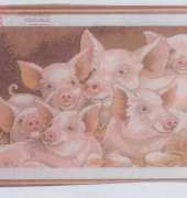 Eva Rosenstand ER 14-231 Varkens / Pigs