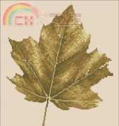 Heritage Stitchcraft SNNM749 Shades of Nature - Norway Maple by John Clayton