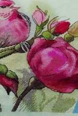 Roses and Bird - Framed