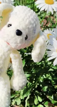 a little dog