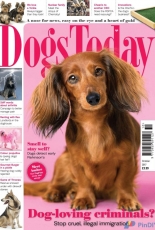 Dogs Today UK October 2017
