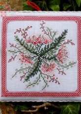 Renato Parolin - Achillea