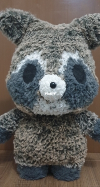 Rocket the Racoon