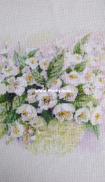 "Watercolor jasmine" (Riolis)