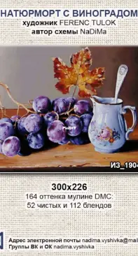 NaDiMa 190417 -Still Life with Grapes XSD