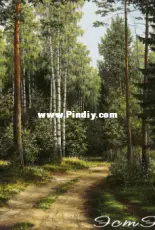 Este 148 Forest Road