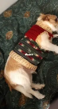 Heart 2 Hands Botique - Carol Williams - Quick and Easy Dog Sweater