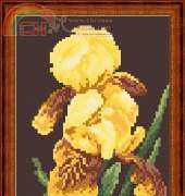 Megat 865 Yellow Irises