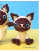 Jaravee Jeerachat - Siamese Kitten